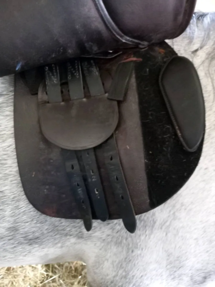 16" saddle - Image 3