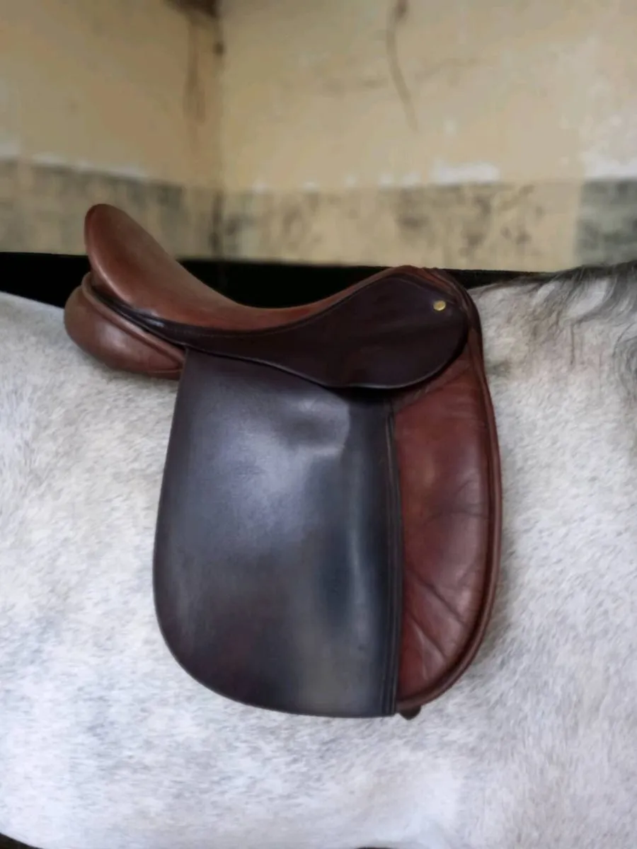 16" show saddle - Image 1