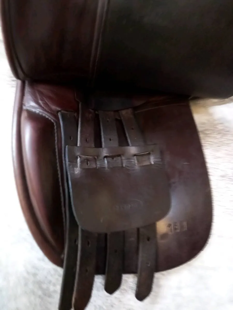 16" show saddle - Image 3