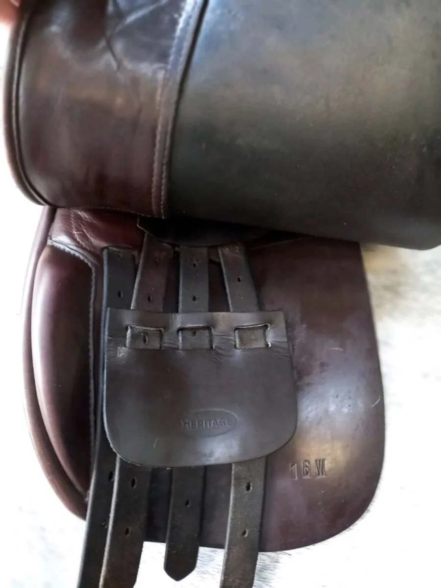 16" show saddle - Image 4