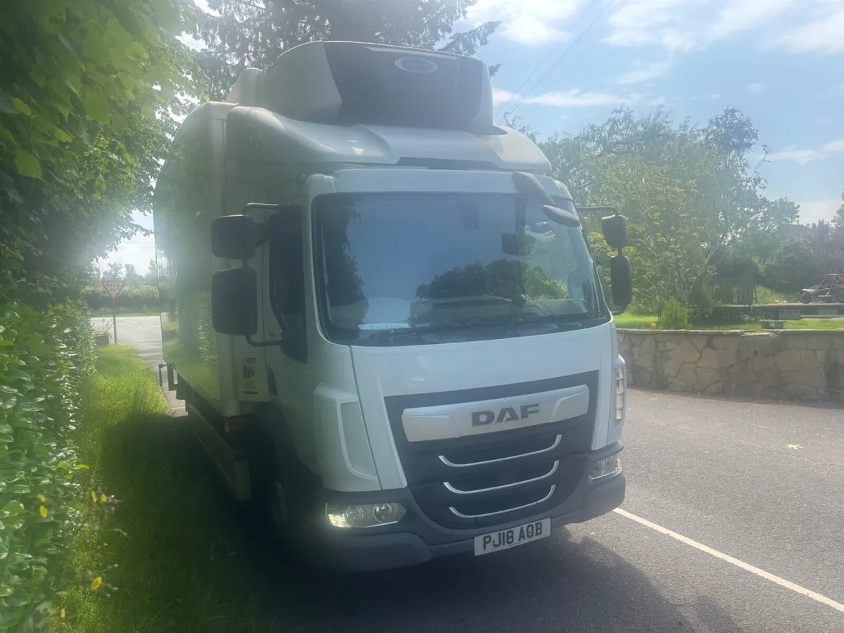 2018 DAF LF - Image 2