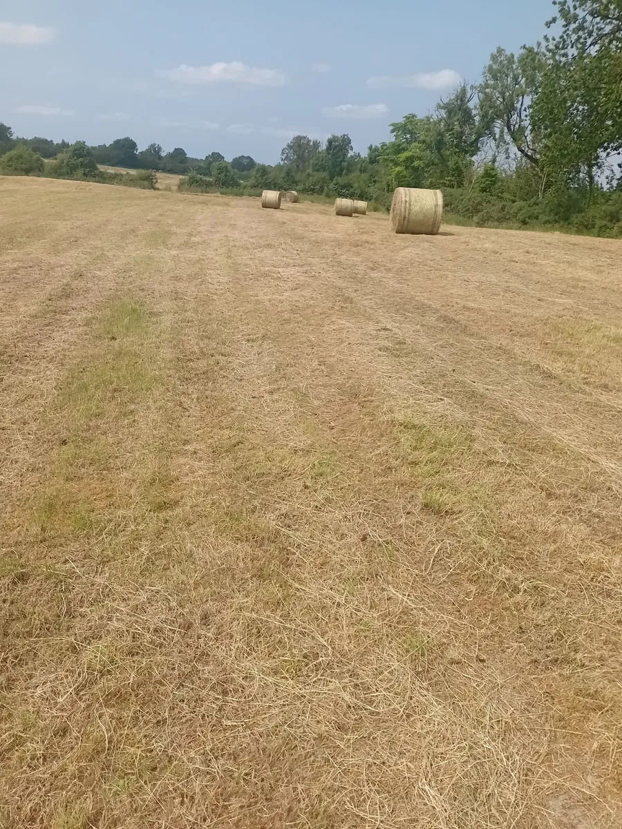 Hay round bales