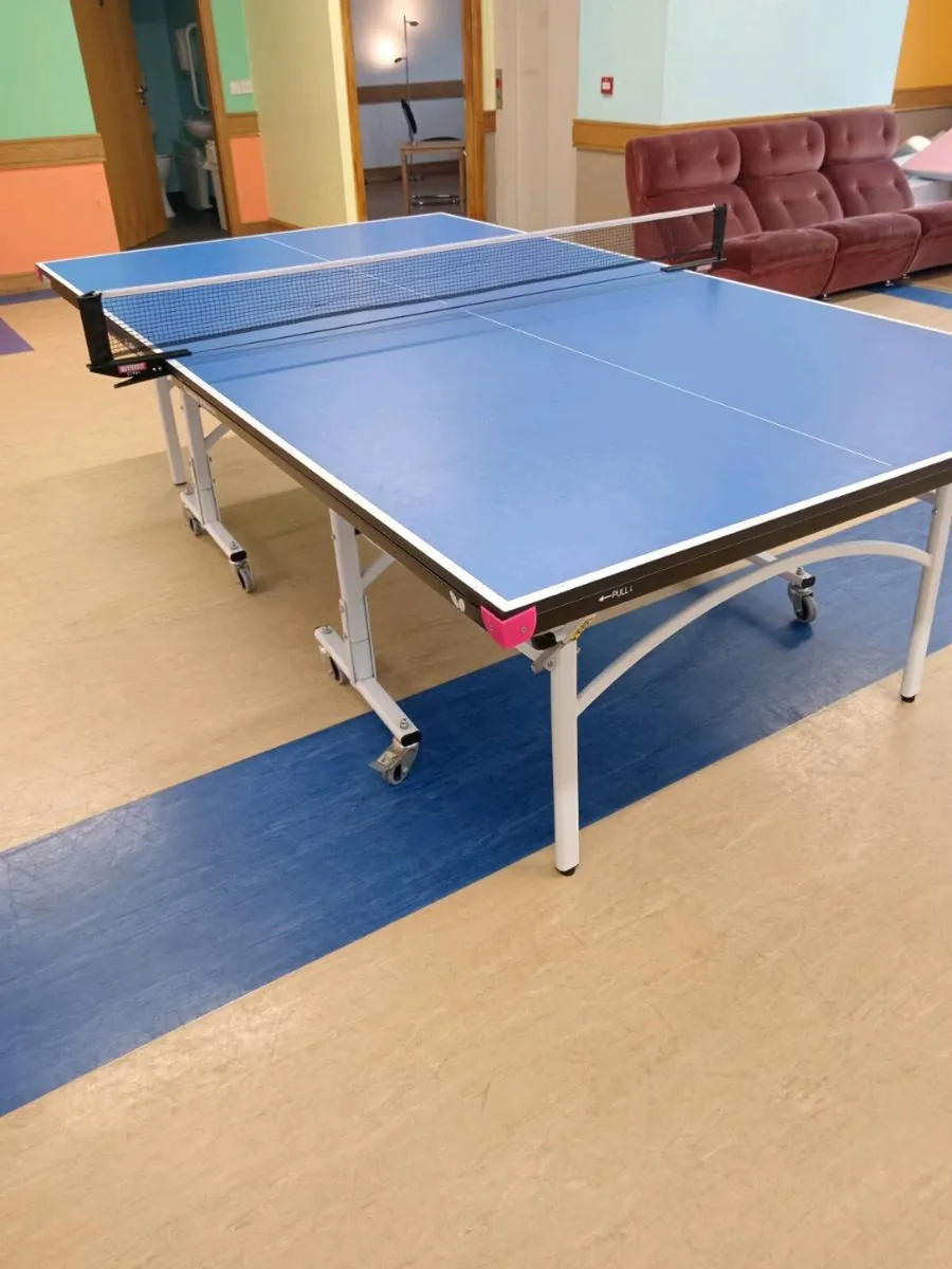 Table Tennis Table - Image 1