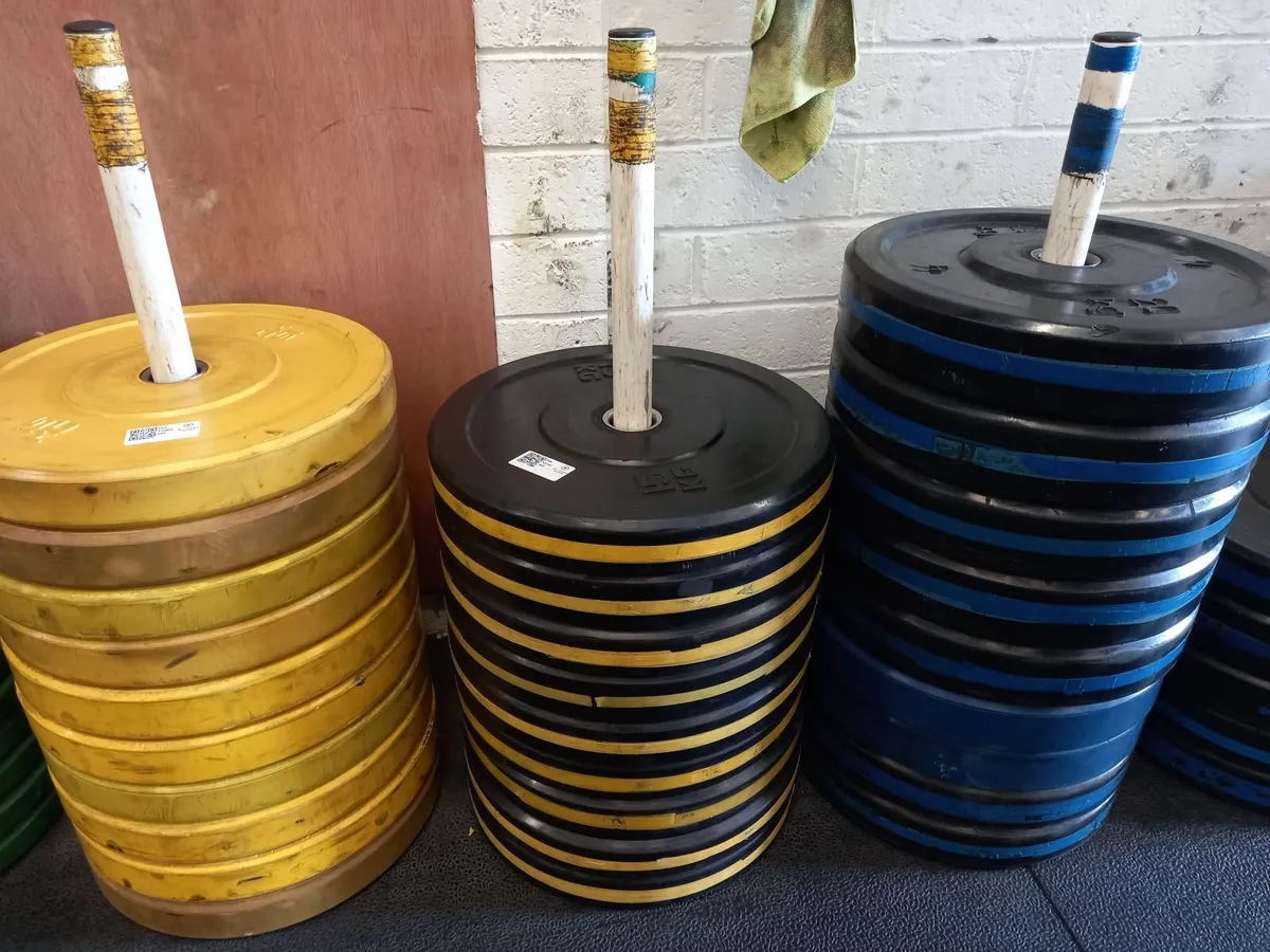 Unreserved Gym Auction on Behalf of D12 CrossFit - Image 4