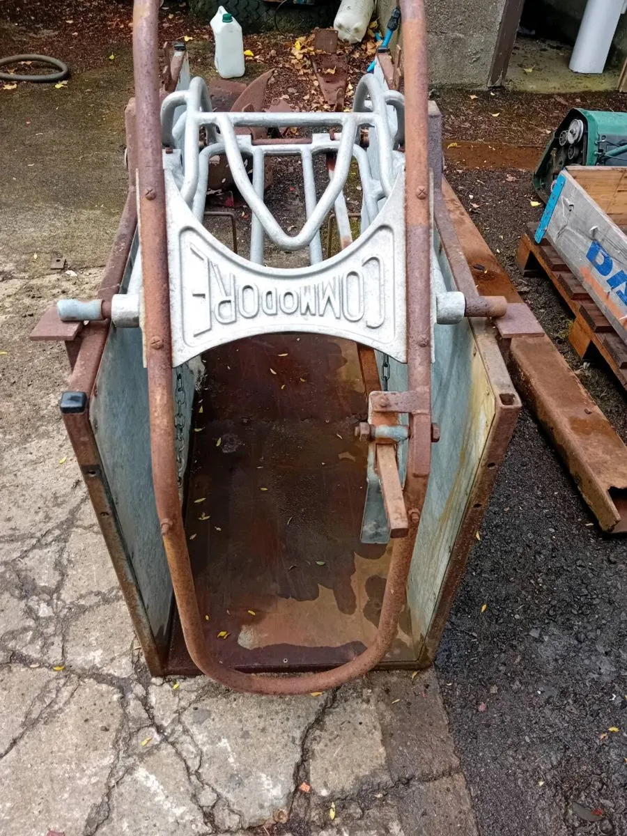 Sheep Turnover Crate - Image 3