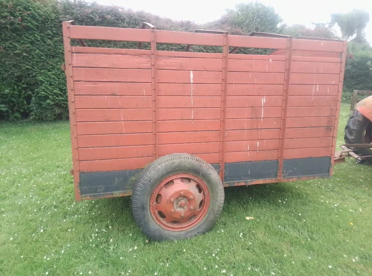 Cow Box - Image 2