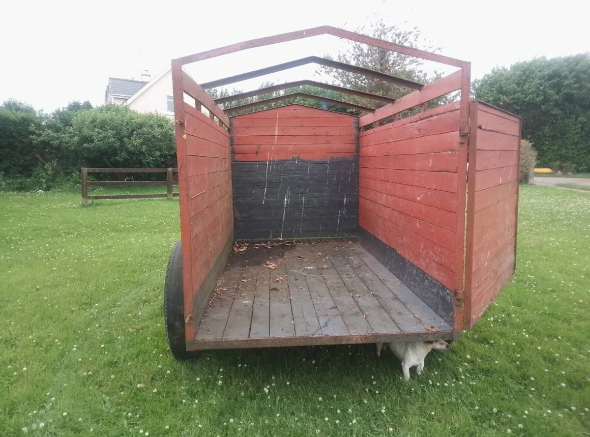 Cow Box - Image 3