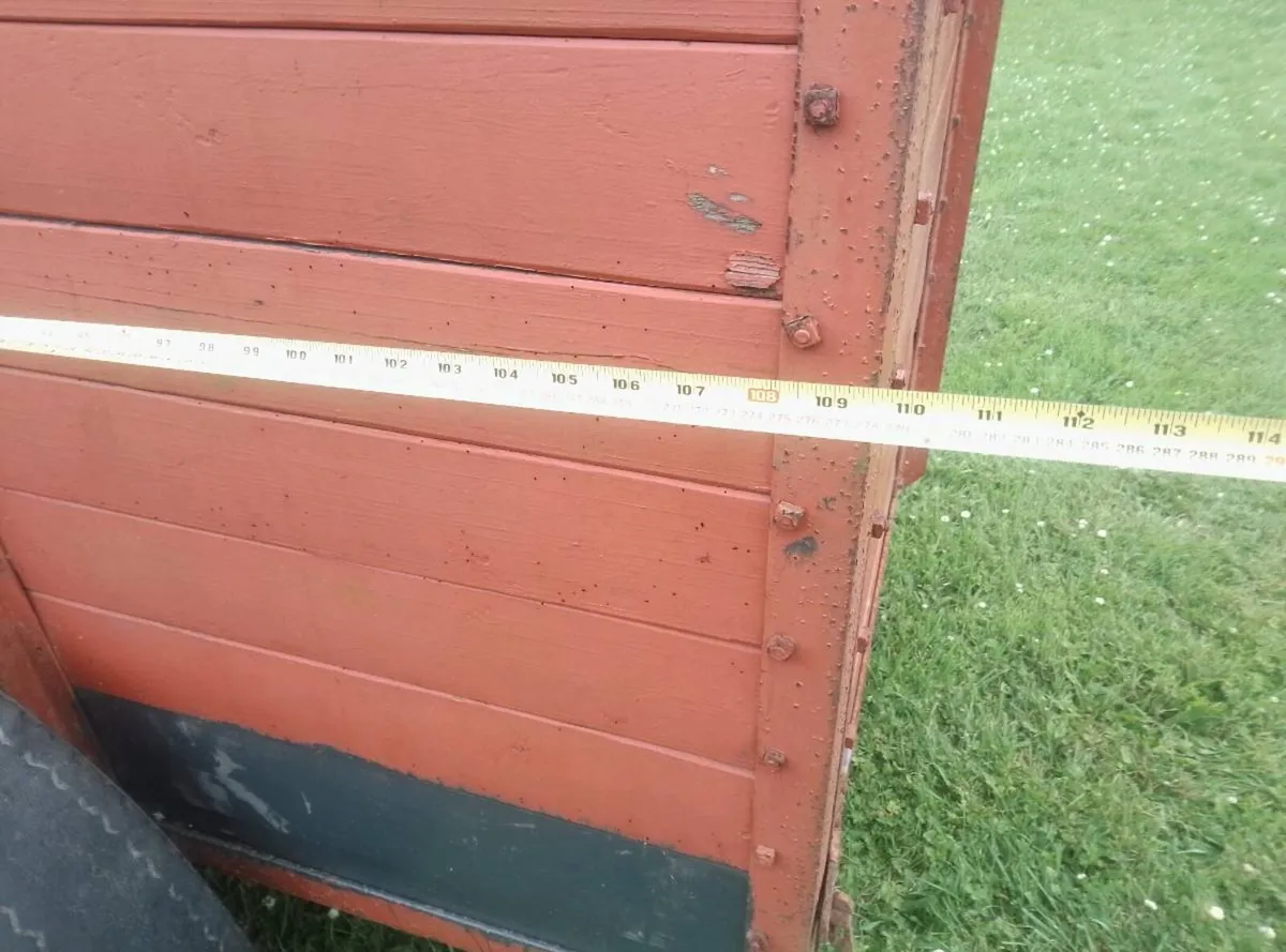 Cow Box - Image 4