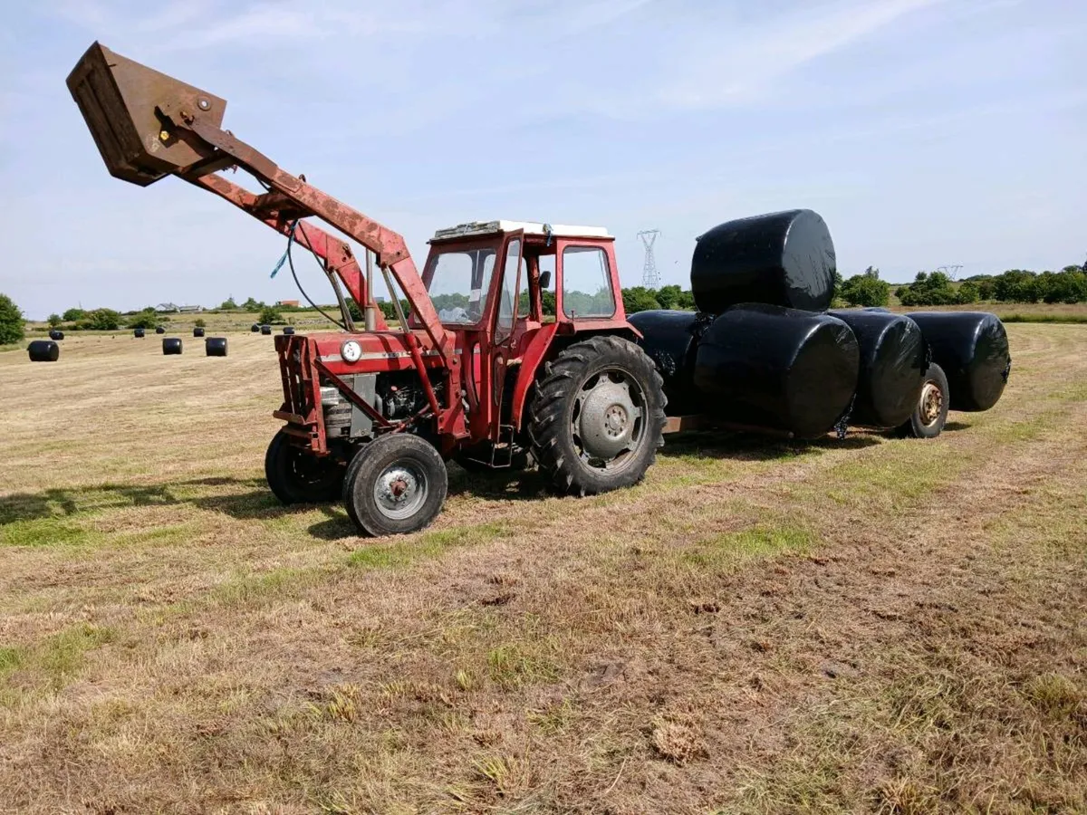 Massey Ferguson 165 - Image 3