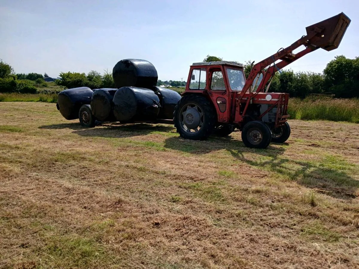 Massey Ferguson 165 - Image 4
