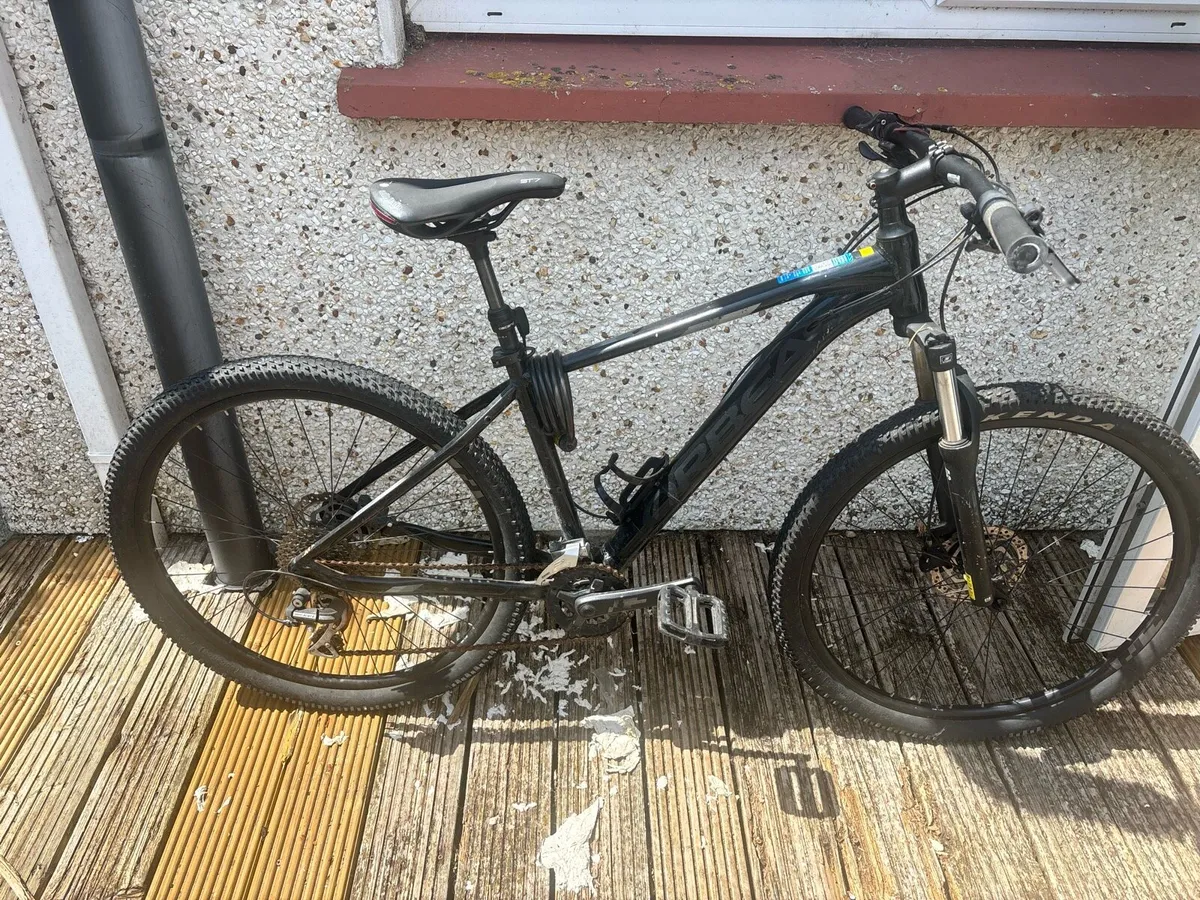 Orbea Bike - Image 2