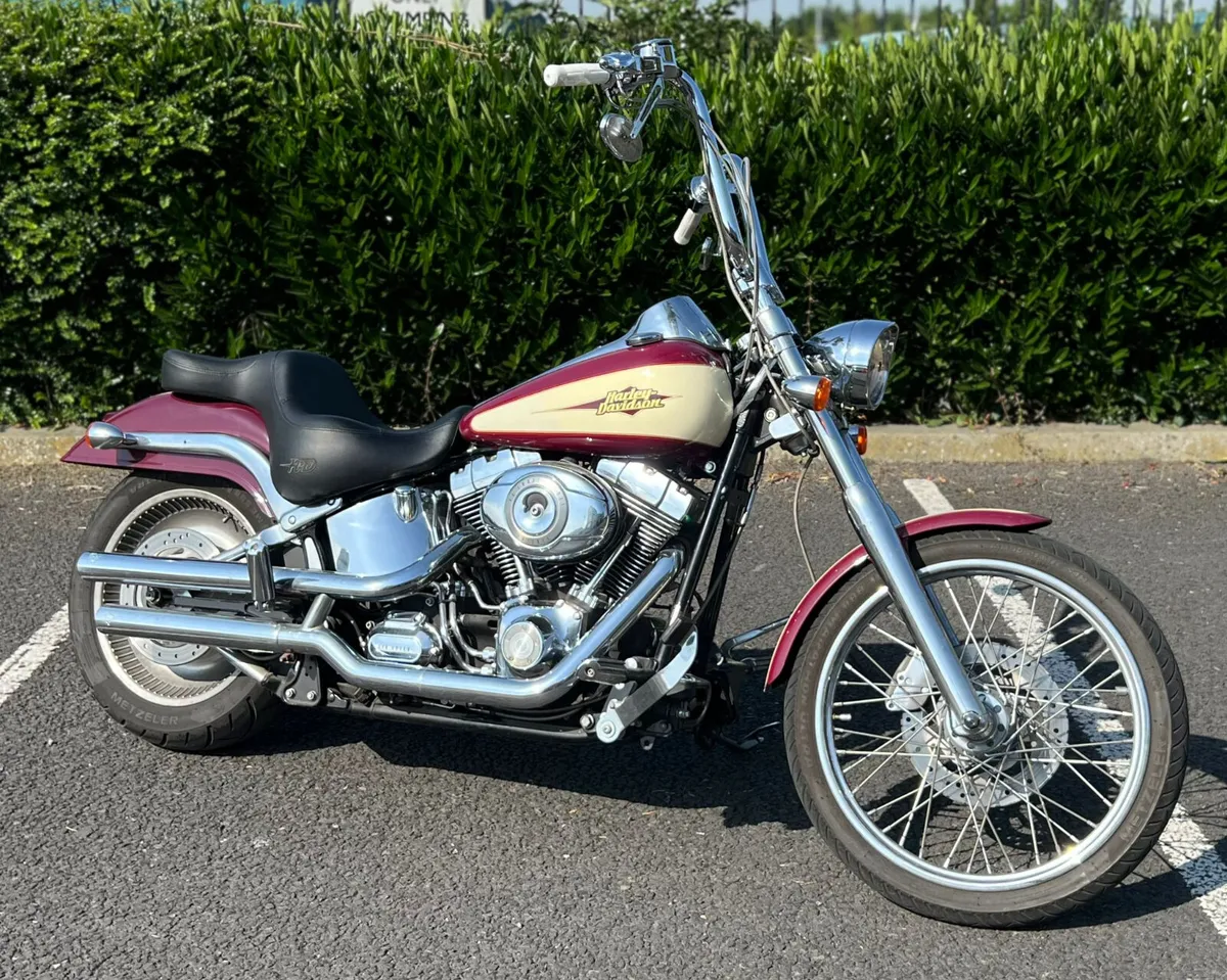 HARLEY-DAVIDSON SOFTAIL DEUCE - Image 2