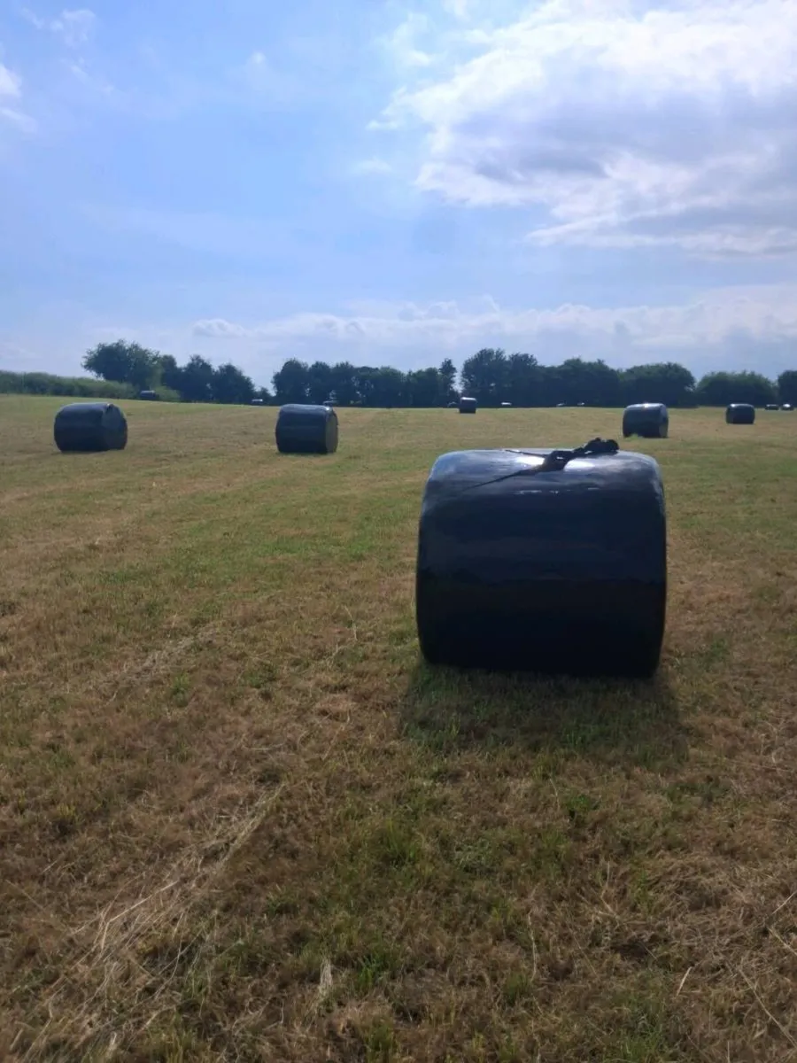 Bales of silage