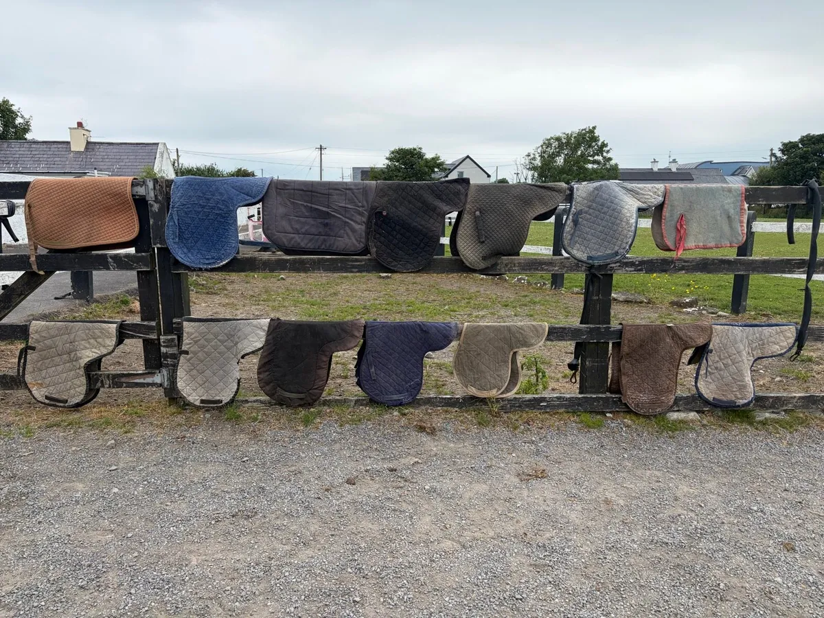 Saddle cloths/Numnahs for sale - Image 1