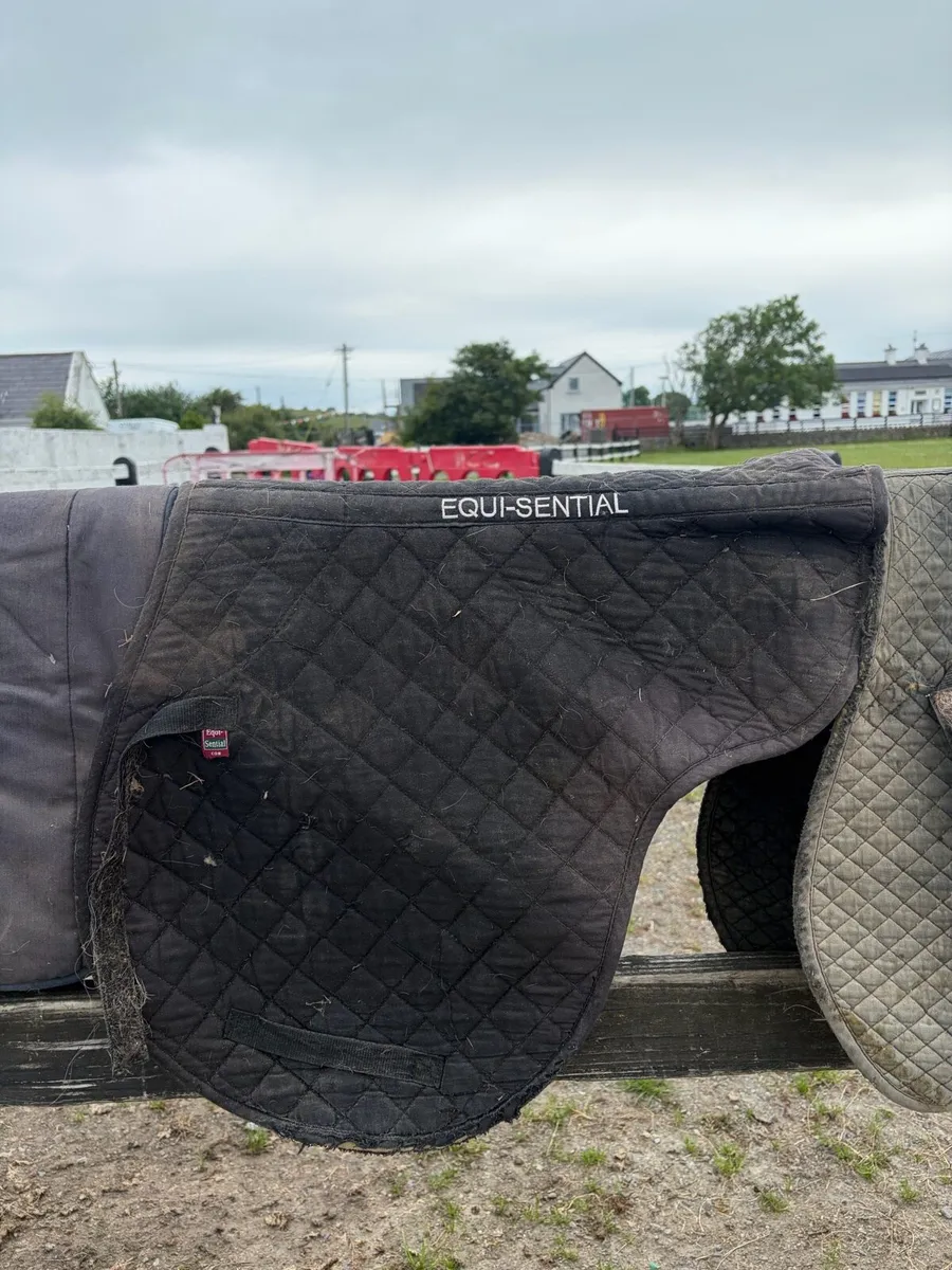 Saddle cloths/Numnahs for sale - Image 2