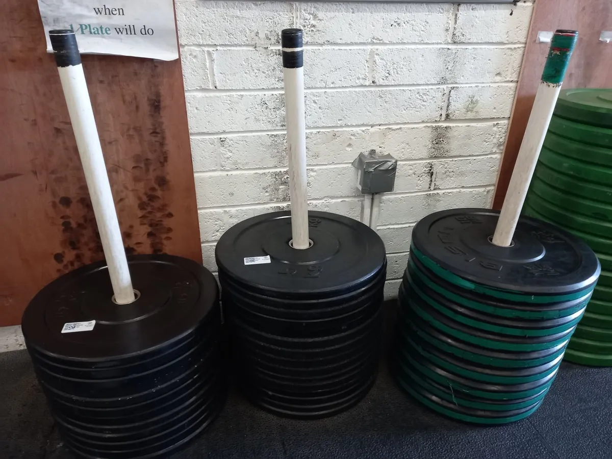Unreserved Gym Auction on Behalf of D12 CrossFit - Image 3
