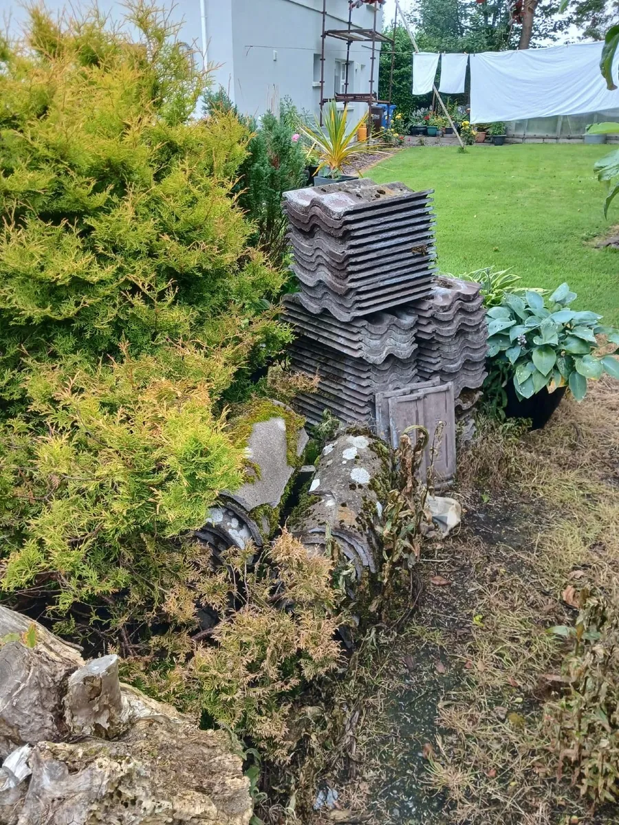 Roof Tiles (Quinn Locherne) - Image 2