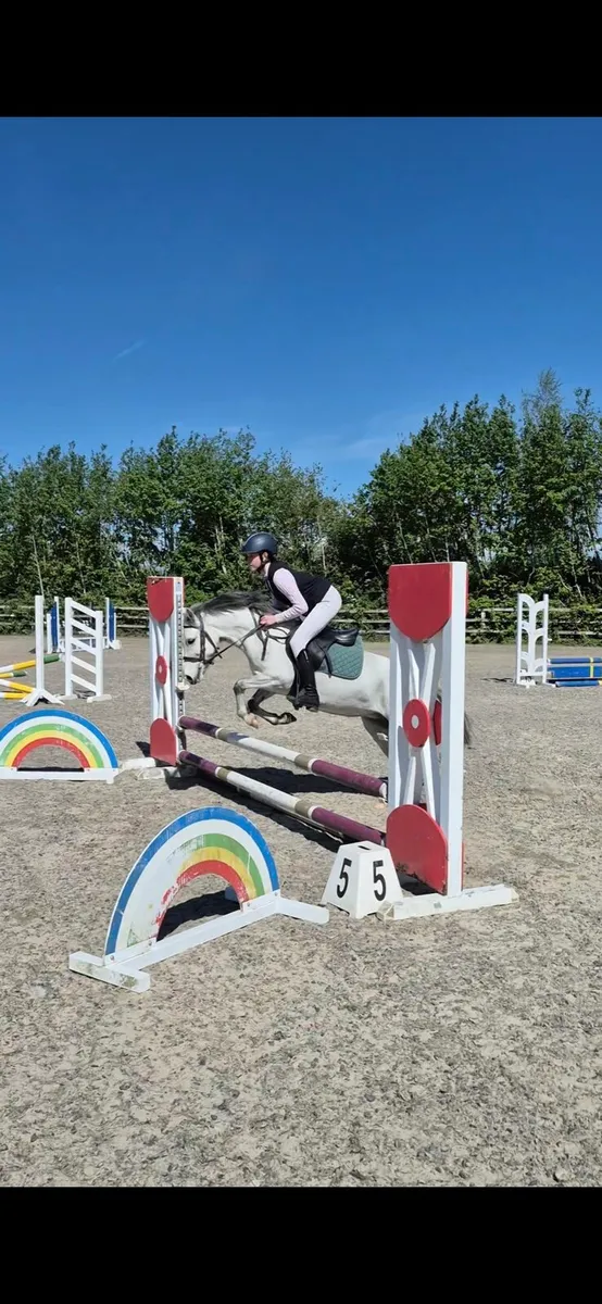 123cm Pony - Image 1
