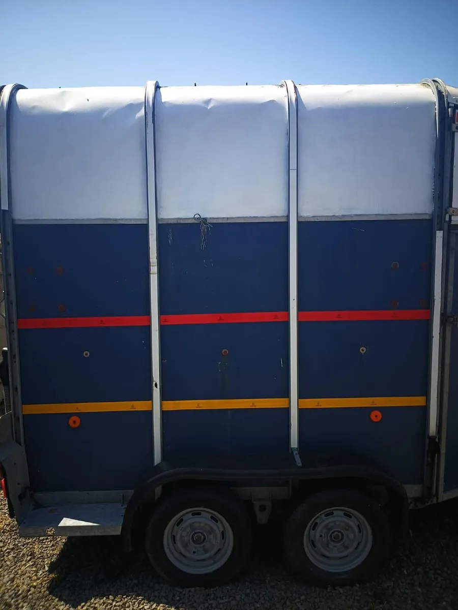 510 horsebox - Image 2
