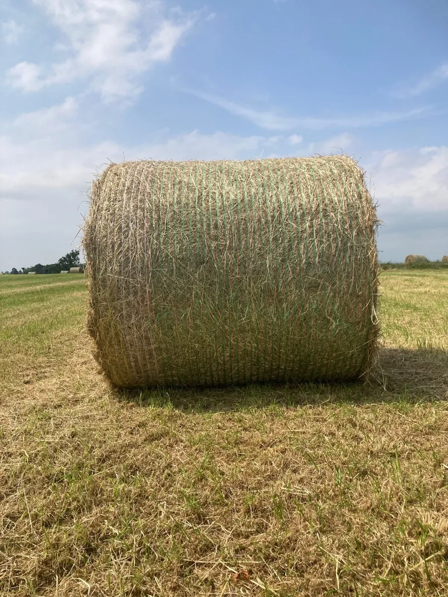 Hay for sale - Image 1