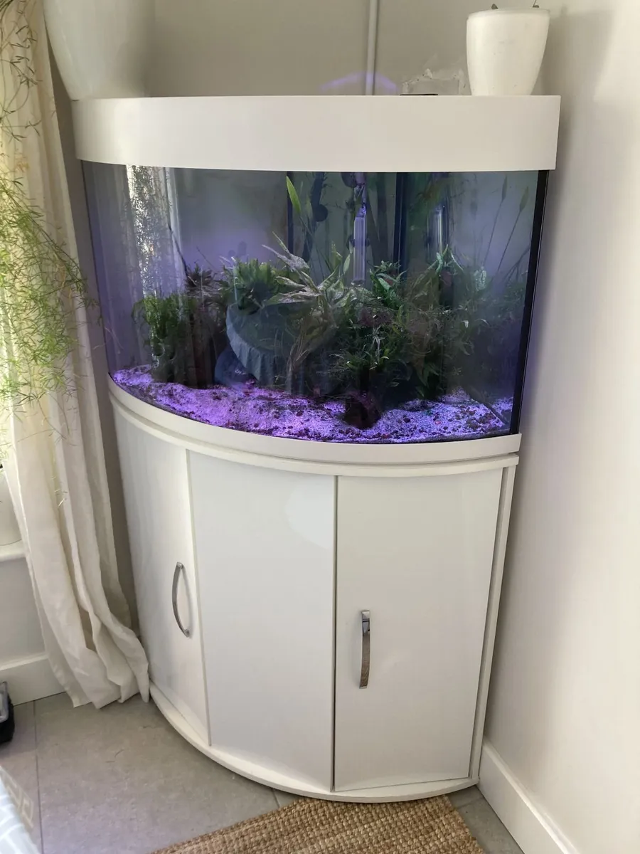 Aqua One 140L Corner Fish Tank - Image 1
