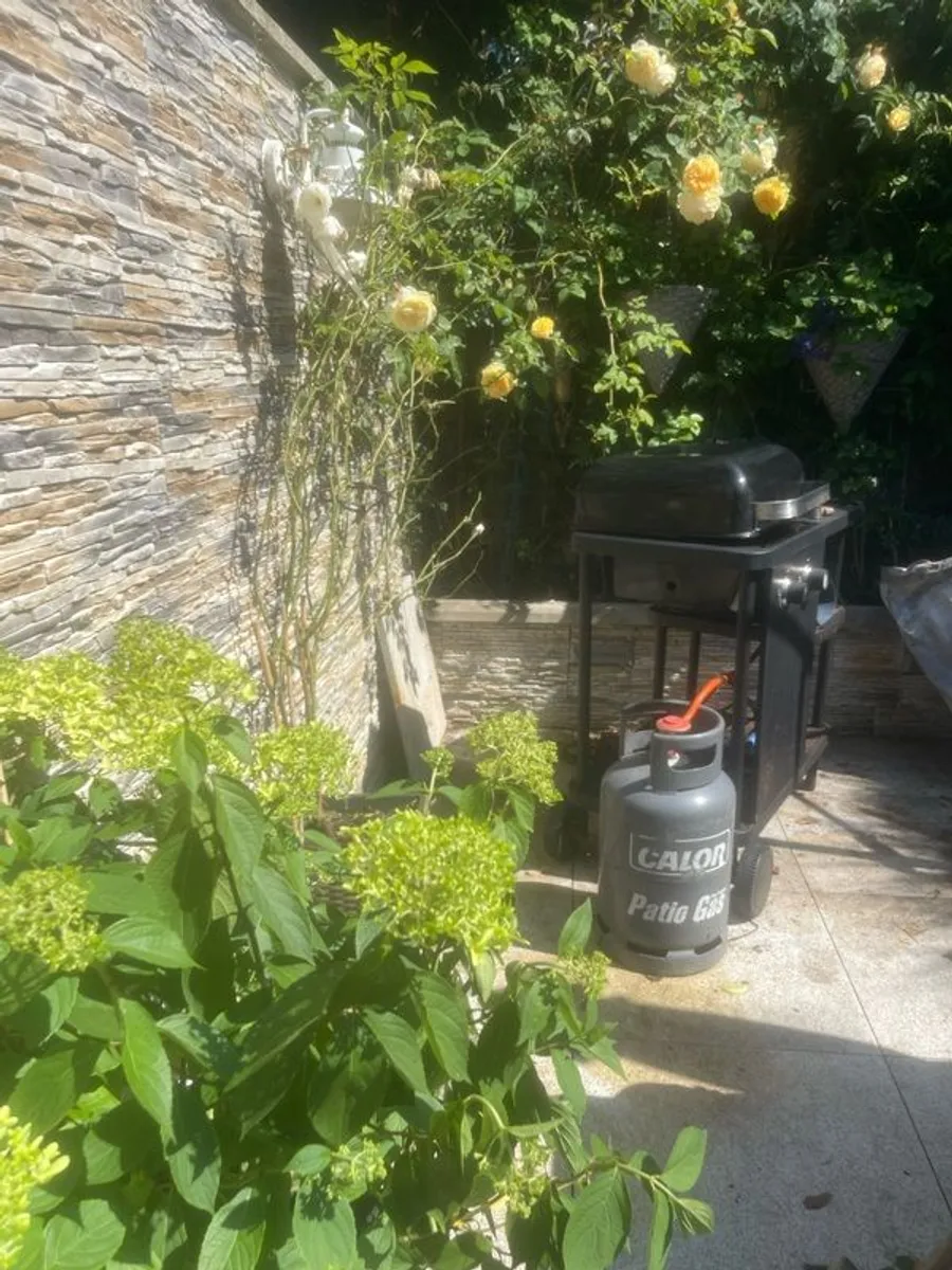 Garden - Image 2