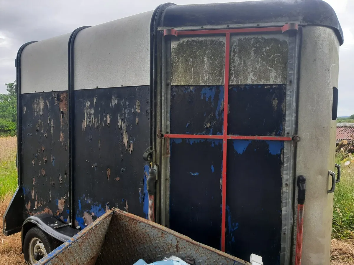 IforWilliams horsebox - Image 3