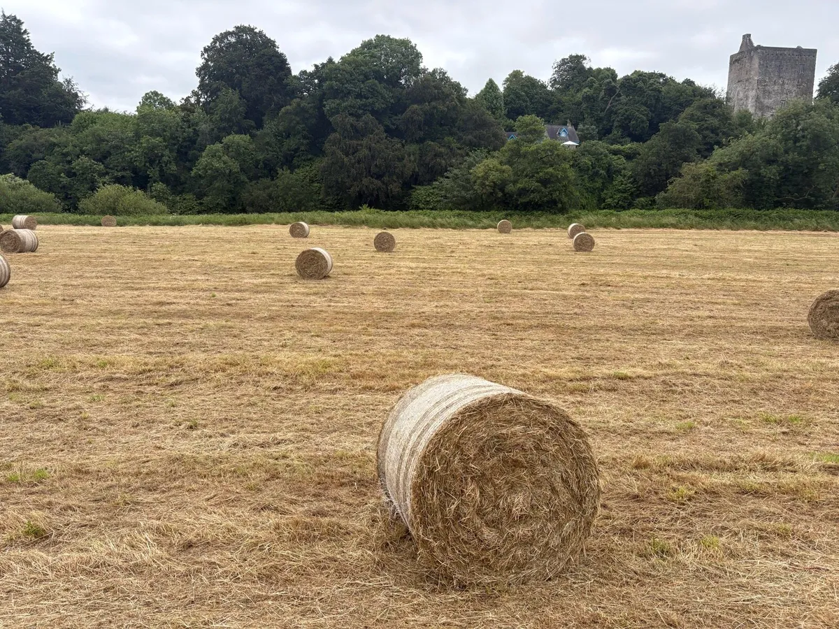 Haylage - Image 2