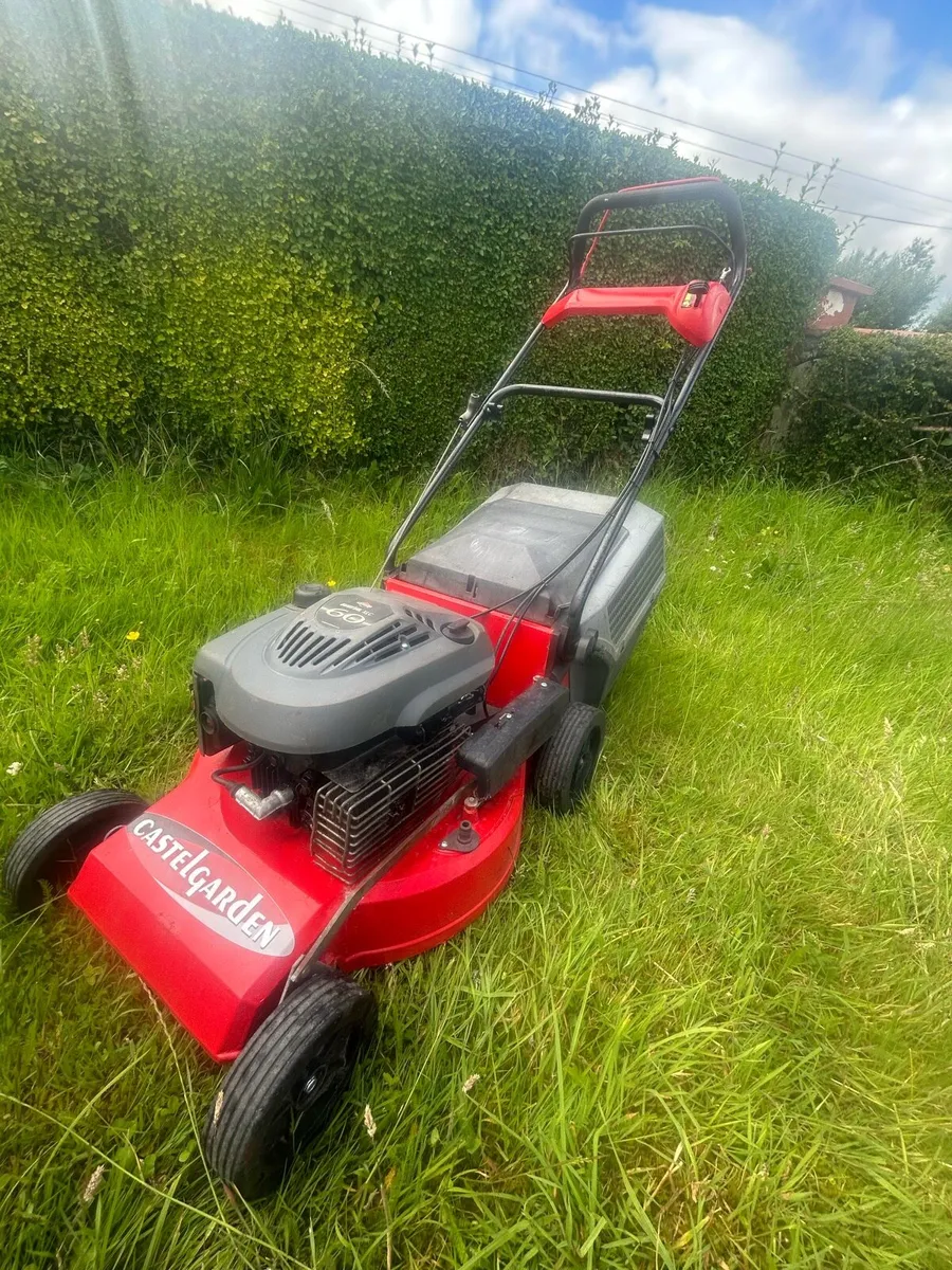 Castle garden, briggs and Stratton Quantum XLC 60 - Image 2
