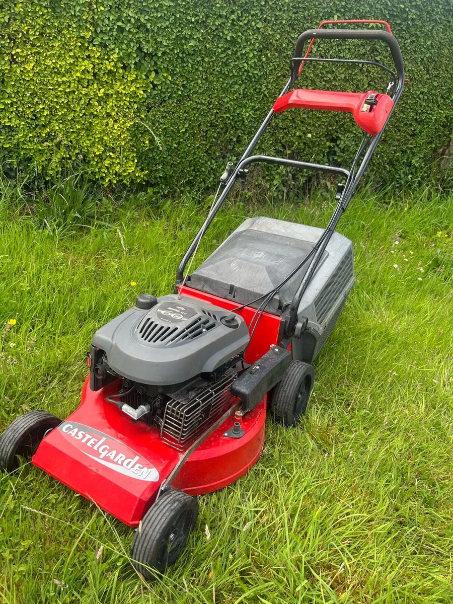 Castle garden, briggs and Stratton Quantum XLC 60 - Image 4