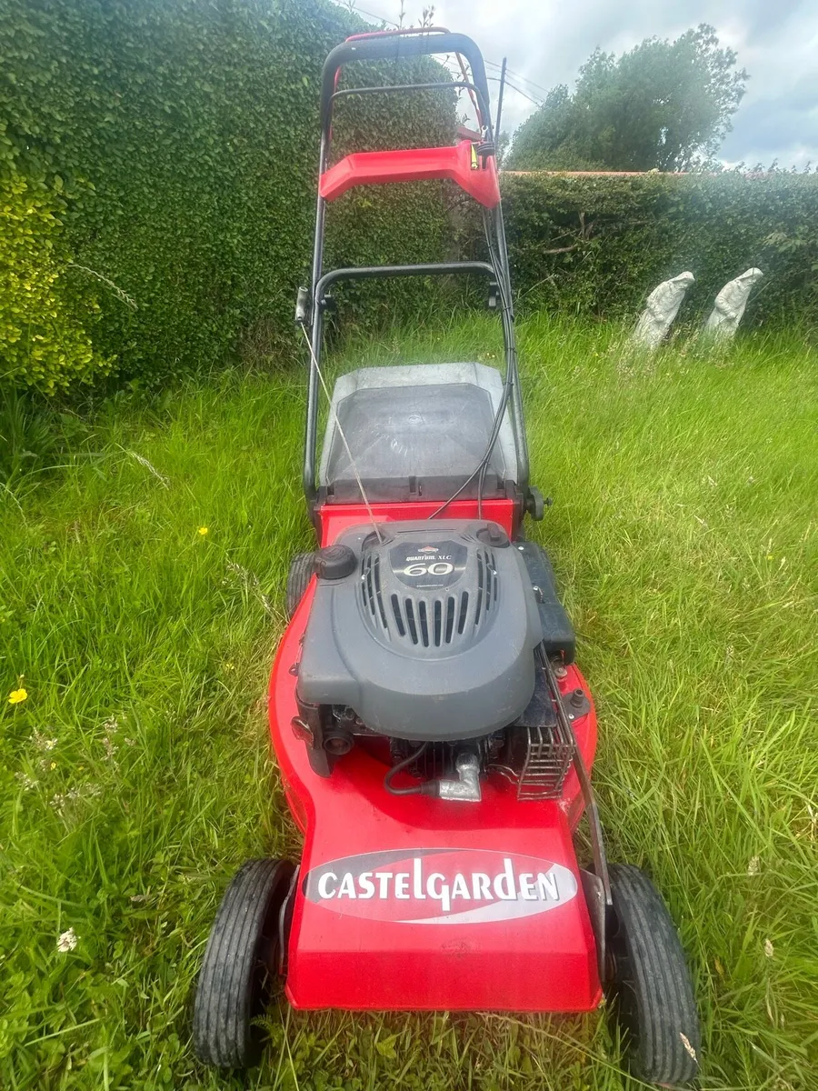 Castle garden, briggs and Stratton Quantum XLC 60 - Image 3