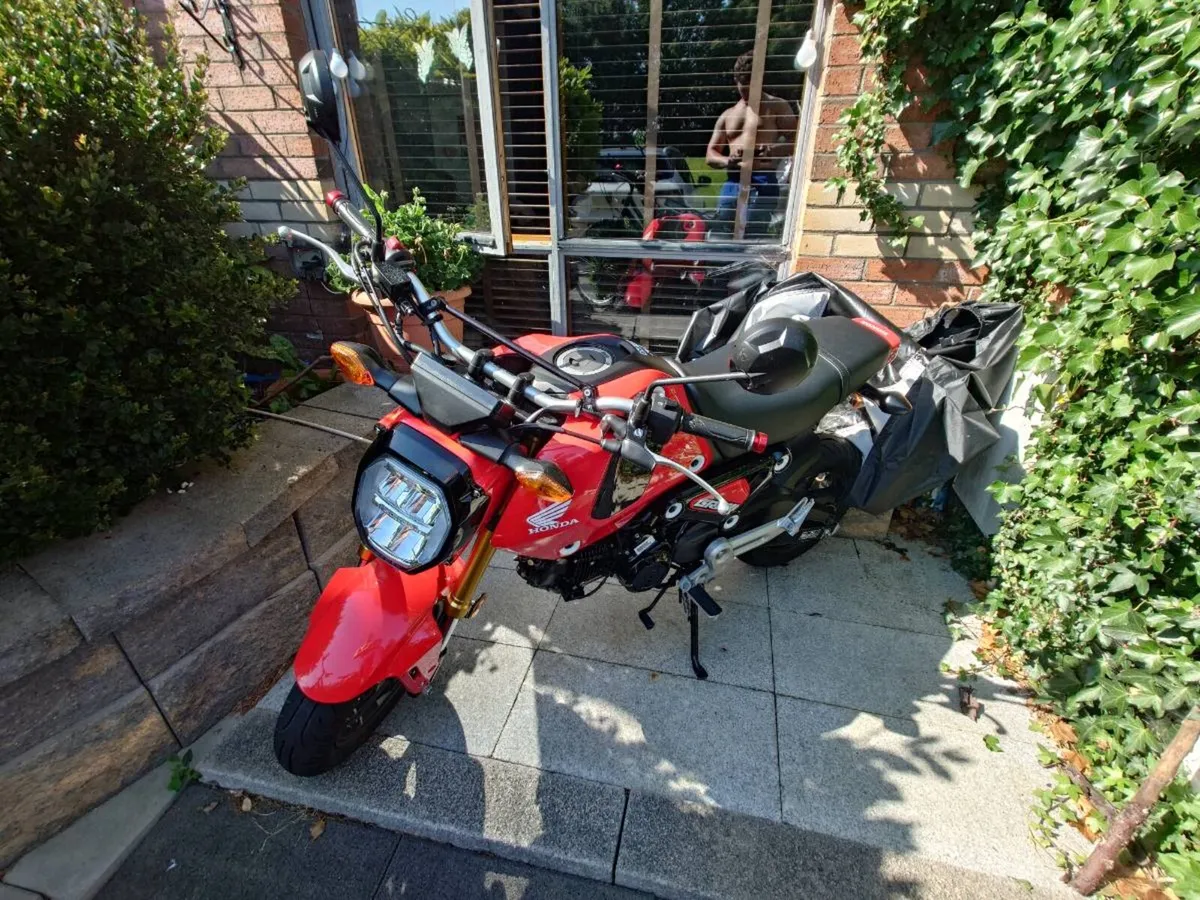 2022 Honda MSX 125 Grom - Image 1