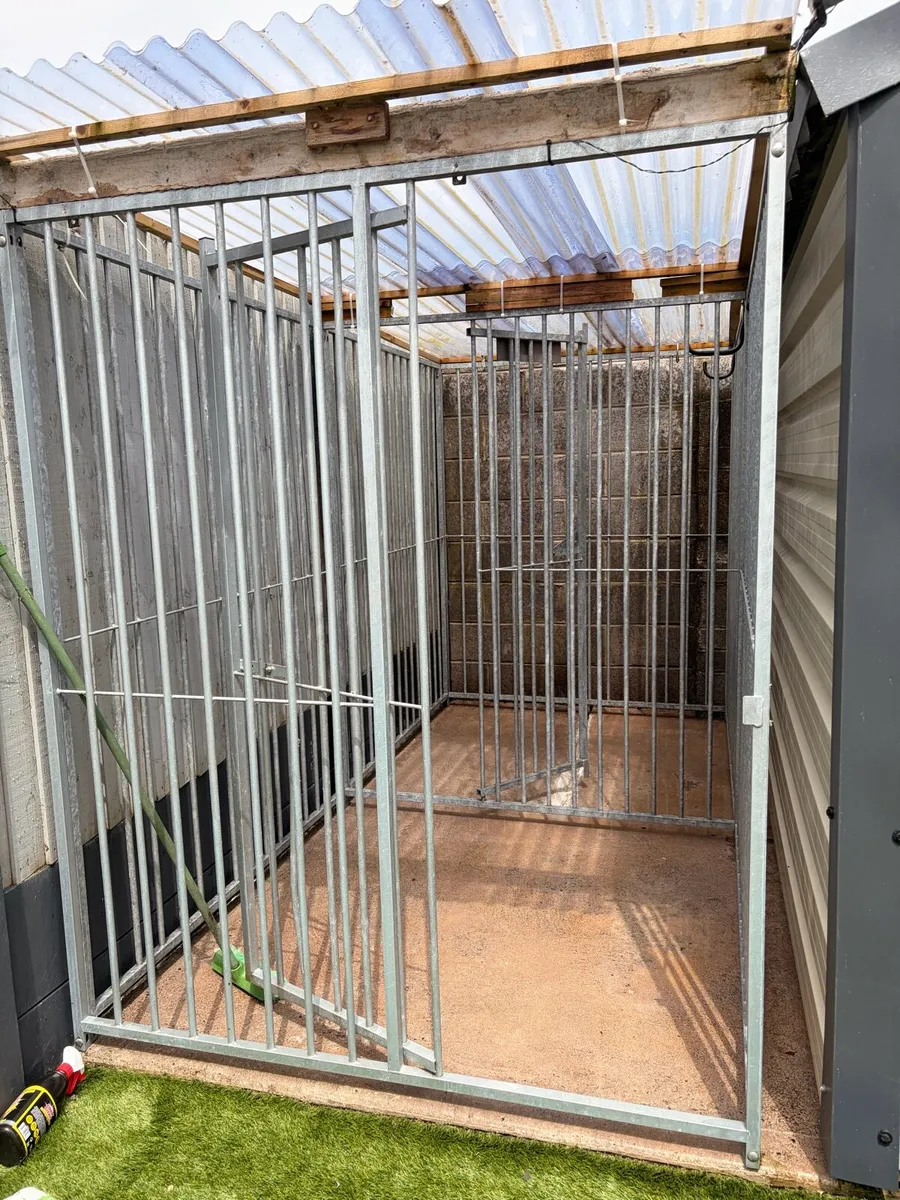Dog run - Image 1