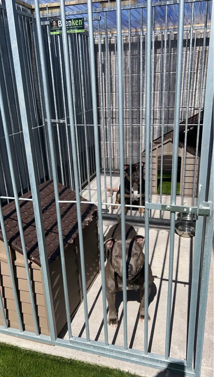 Dog run - Image 2