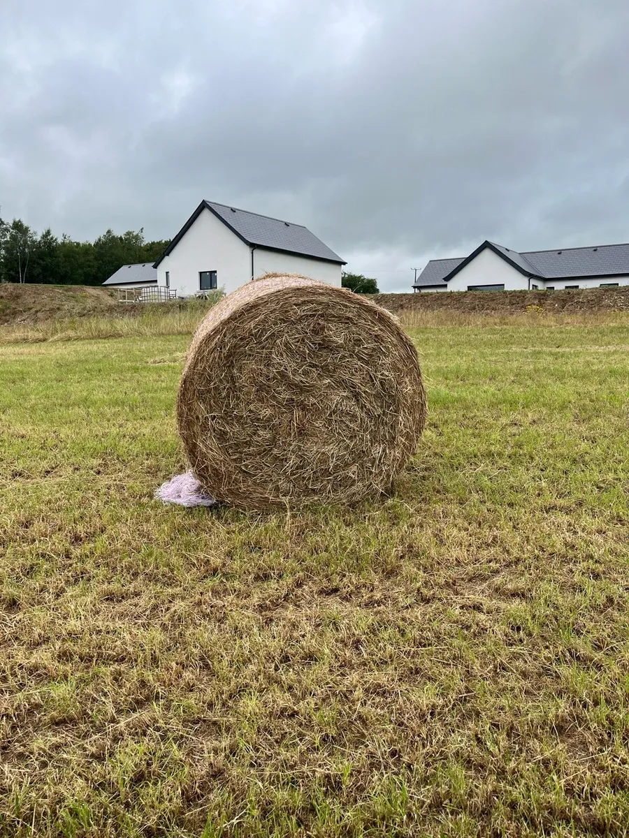 Round bales of Hay - Image 1