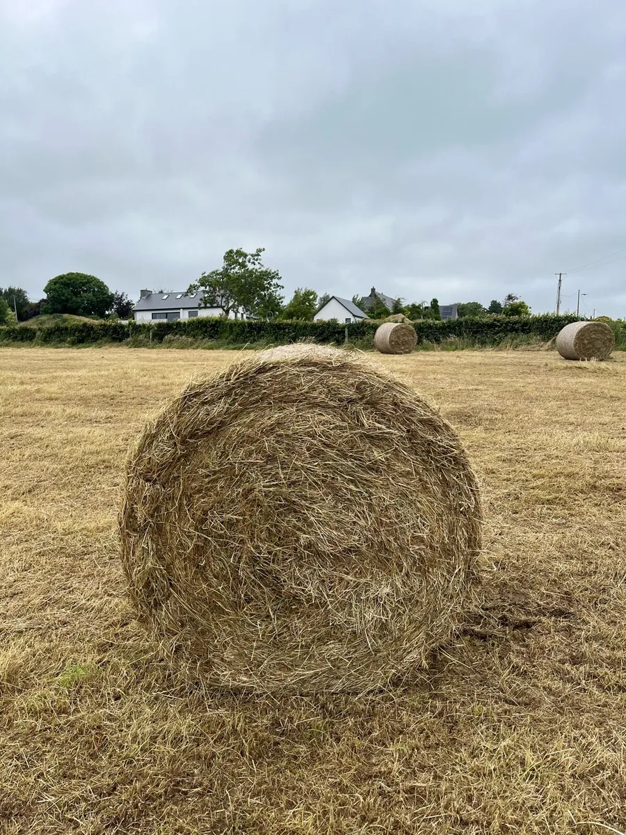Round bales of Hay - Image 3