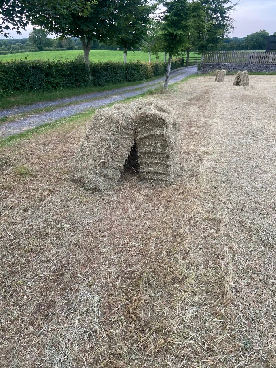 Small square bales of hay - Image 3