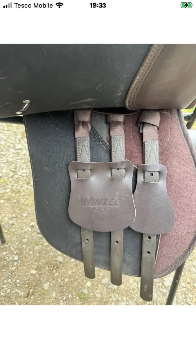 Wintec saddle - Image 4