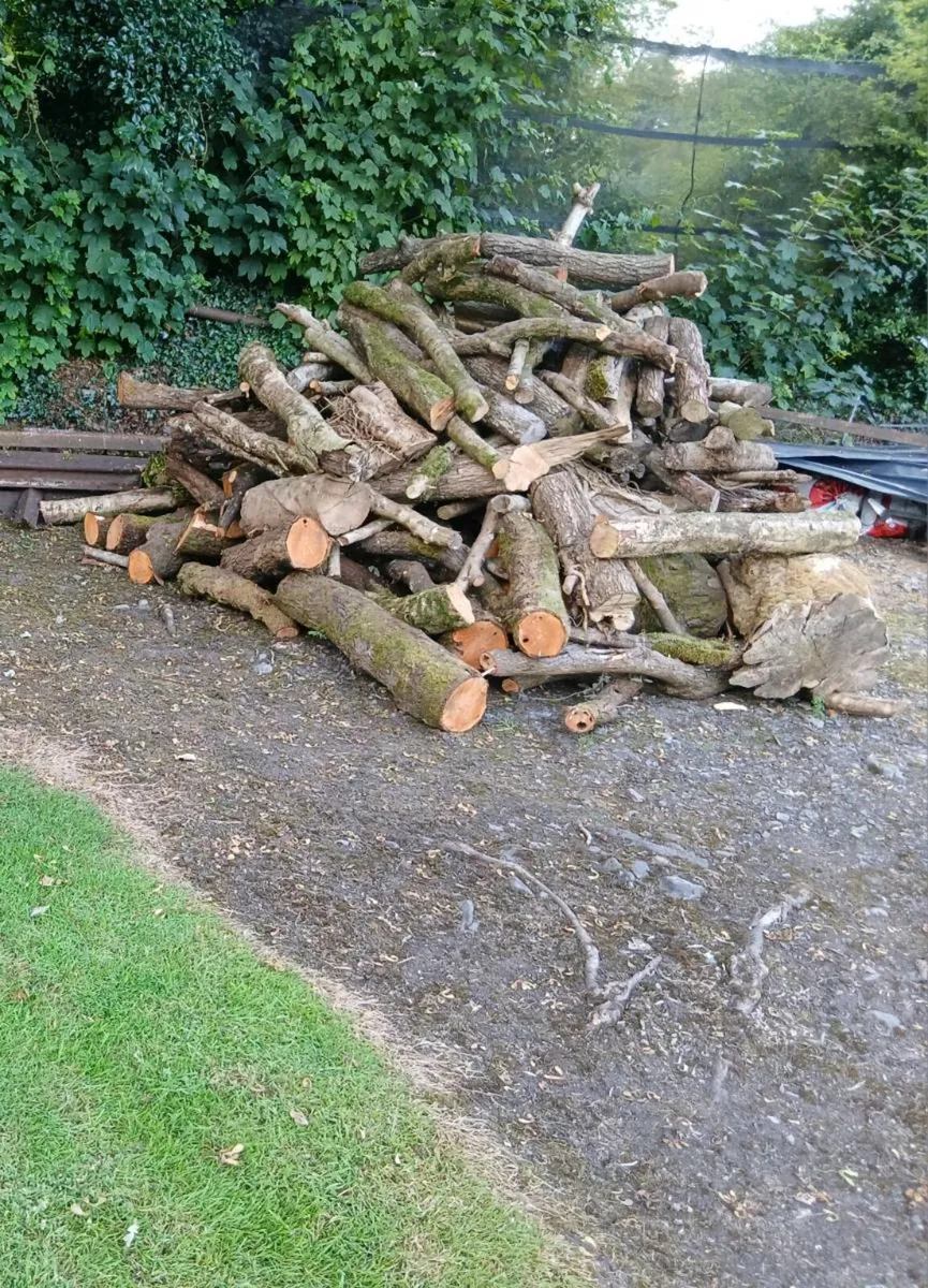Firewood Lengths for Sale - Image 1