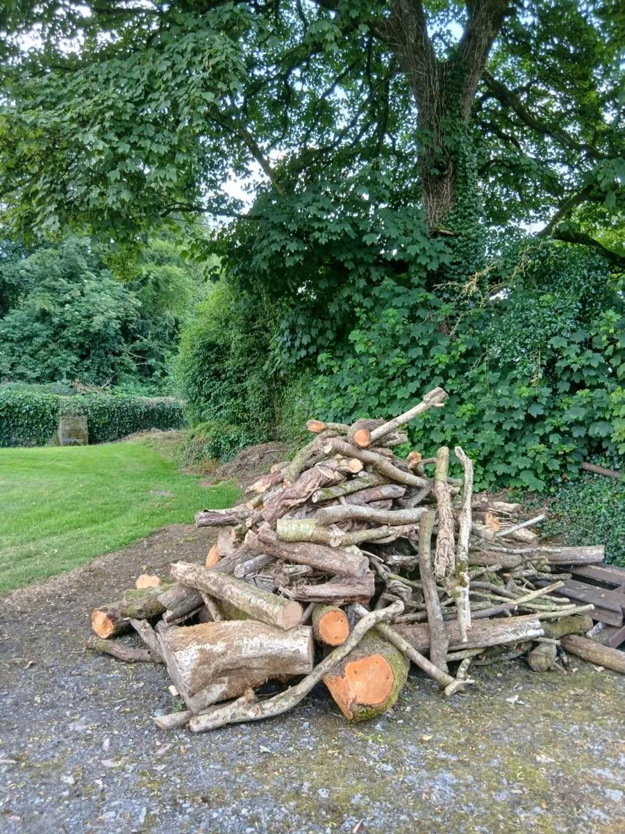 Firewood Lengths for Sale - Image 2