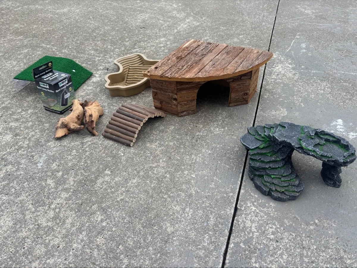 Tortoise enclosure - Image 4