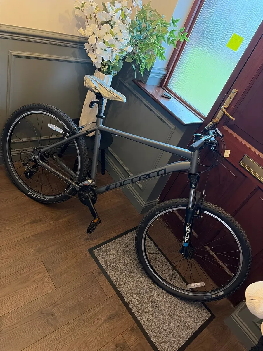 Mountain bike