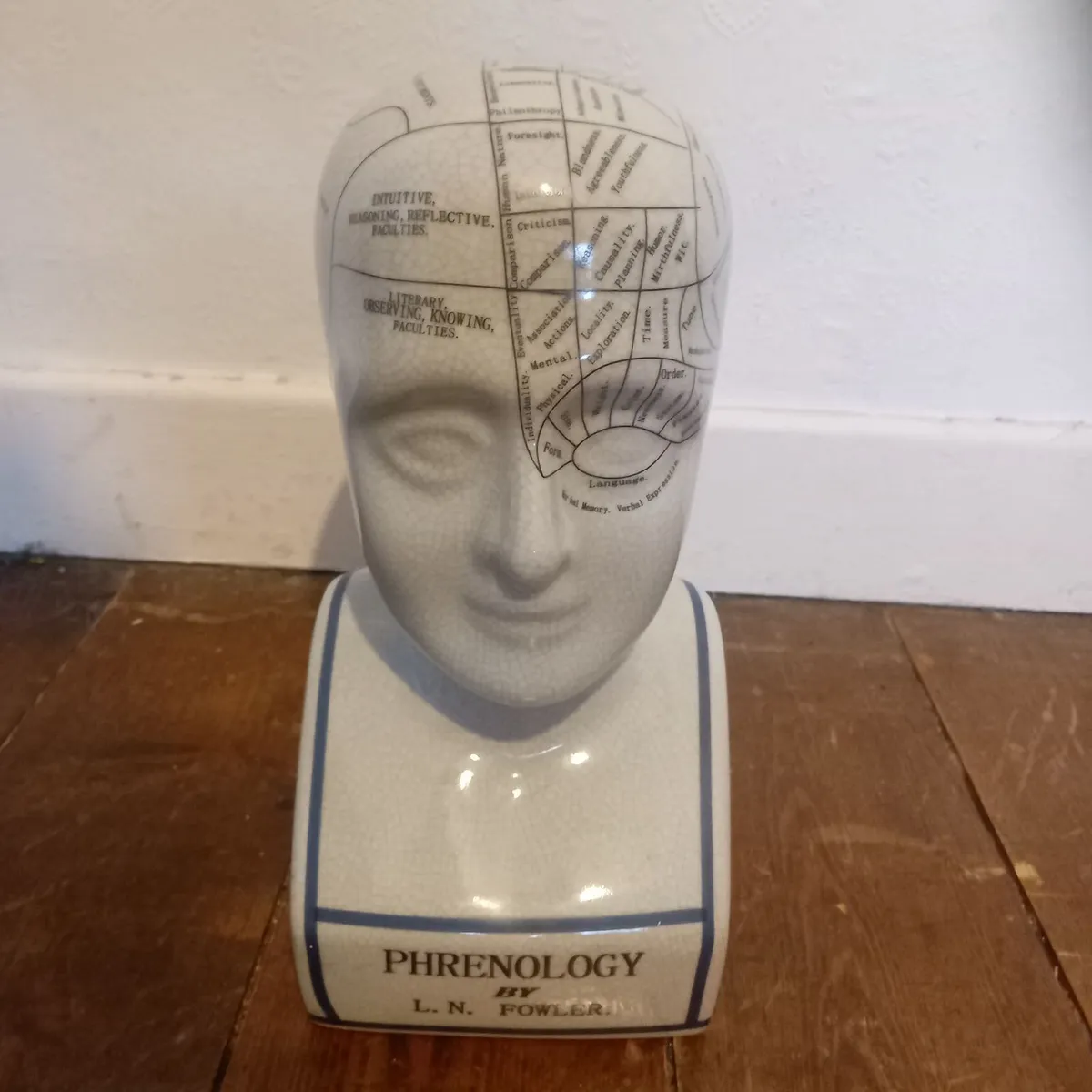 Phrenology head bust - Image 1