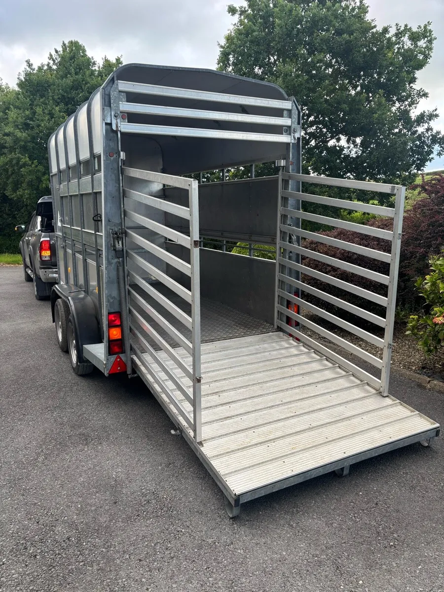 10x5”4x7 Ifor Williams cattle/horse box - Image 4