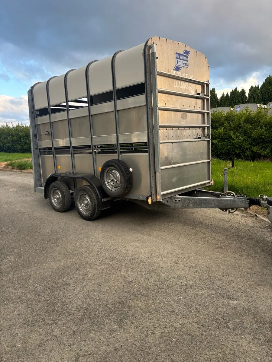 10x5”4x7 Ifor Williams cattle/horse box - Image 2