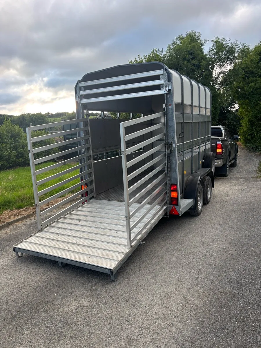10x5”4x7 Ifor Williams cattle/horse box - Image 1