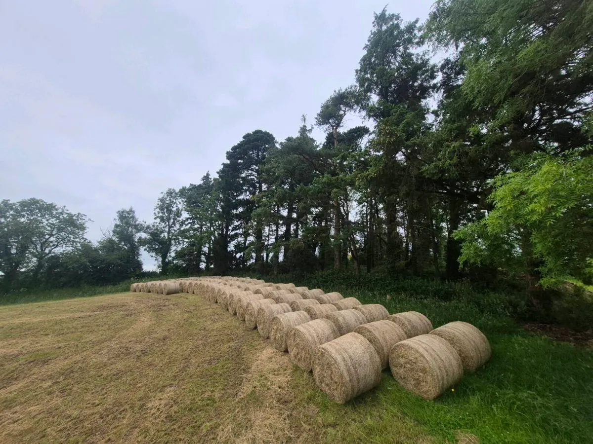 Hay Bales - Image 2