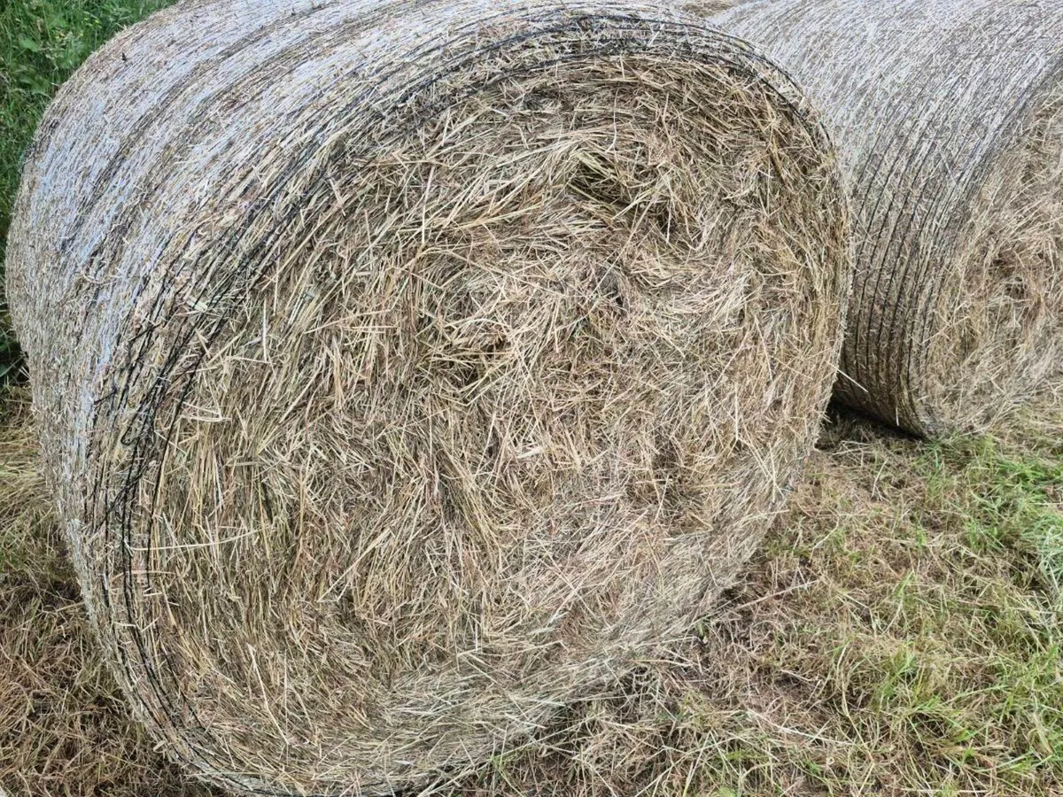 Hay Bales - Image 3
