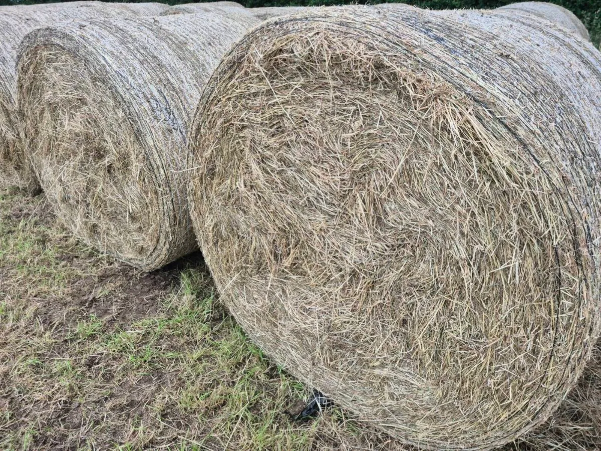 Hay Bales - Image 4