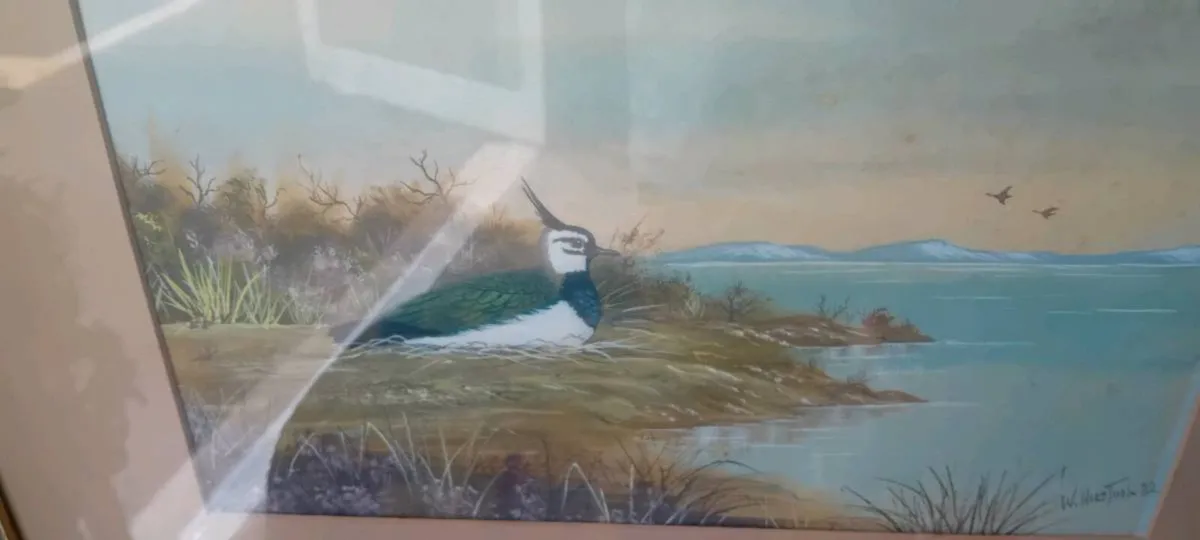 Original William Houston Bird Watercolour - Image 2